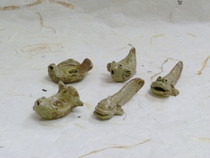 信楽焼 魚五種箸置揃